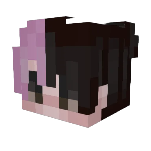 SeanWiiil Minecraft avatar head, 3D render