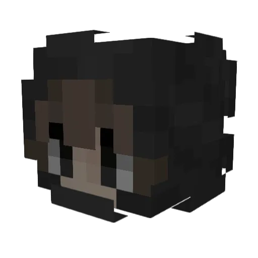 SeanXiang429 Minecraft avatar head, 3D render