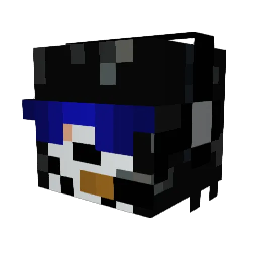 SeanZorro Minecraft avatar head, 3D render