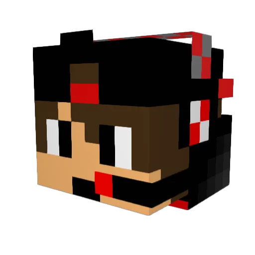 Sean_Mags Minecraft avatar head, 3D render