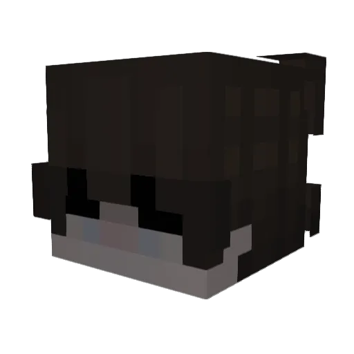 Seanb313 Minecraft avatar head, 3D render