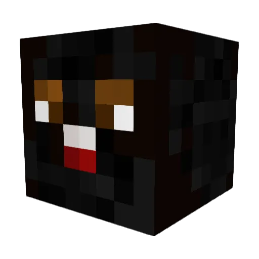 Seanerdawg Minecraft avatar head, 3D render