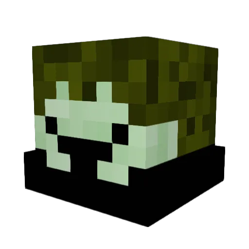 Seangamer81 Minecraft avatar head, 3D render