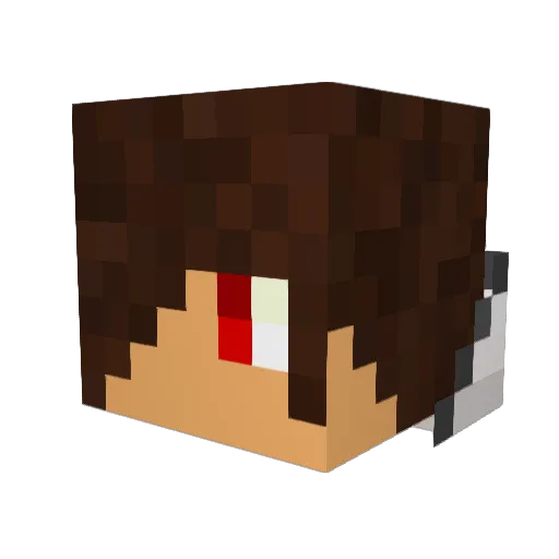 Seanie1616 Minecraft avatar head, 3D render