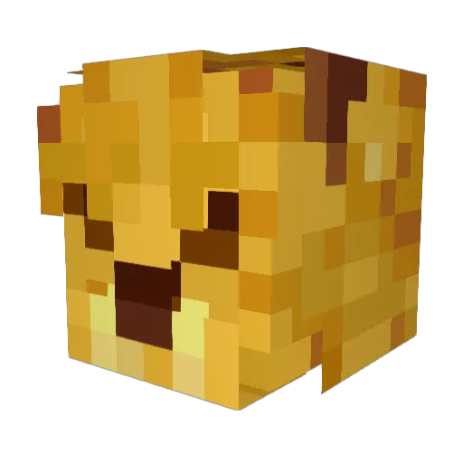 SeanieFN Minecraft avatar head, 3D render