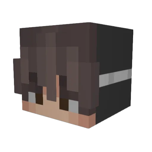 Seanisntdead Minecraft avatar head, 3D render