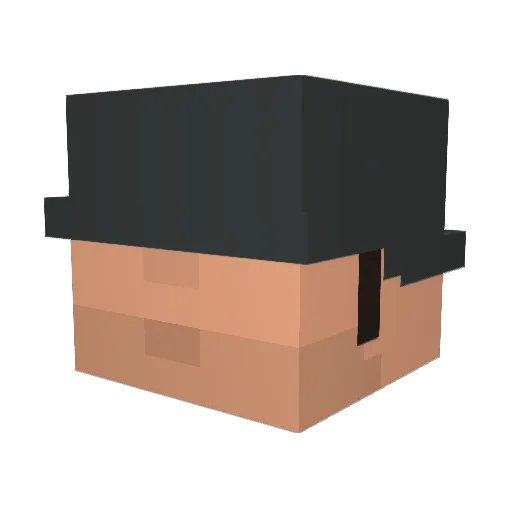 Seanloves420 Minecraft avatar head, 3D render