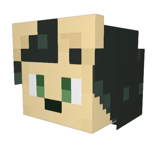 SeannicPanic Minecraft avatar head, 3D render