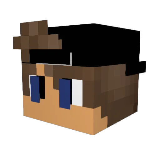 Seannnnnnnn Minecraft avatar head, 3D render