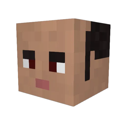 Seansx Minecraft avatar head, 3D render