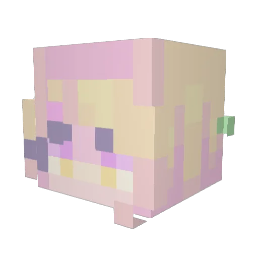 Seanusus Minecraft avatar head, 3D render