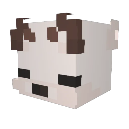 Seaotter137 Minecraft avatar head, 3D render