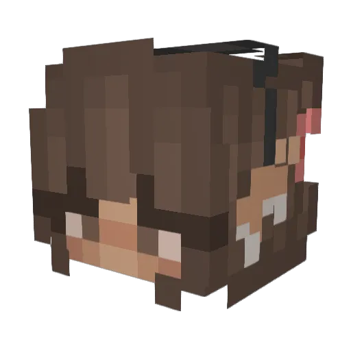 Seapokemaster Minecraft avatar head, 3D render