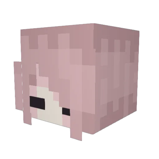 Seaq84 Minecraft avatar head, 3D render