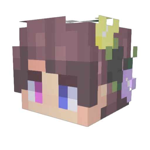 SearAttorney426 Minecraft avatar head, 3D render