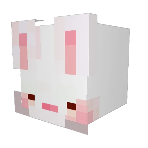 Searan_ Minecraft avatar head, 3D render