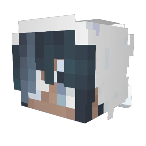 Searcada Minecraft avatar head, 3D render