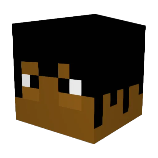 Search1n Minecraft avatar head, 3D render