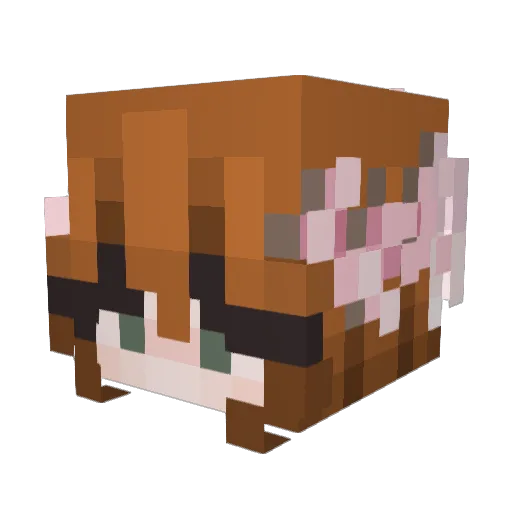 SeasonAutumn Minecraft avatar head, 3D render