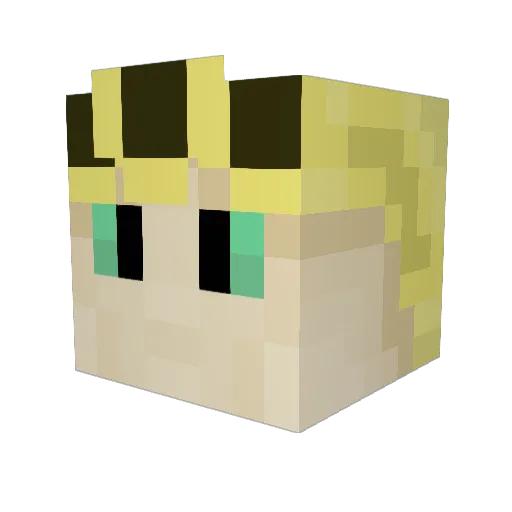 SeasonJay Minecraft avatar head, 3D render
