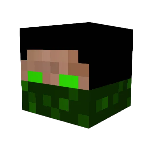 SeasonSnipinz Minecraft avatar head, 3D render