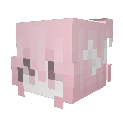 SeasonWalker2 Minecraft avatar head, 3D render