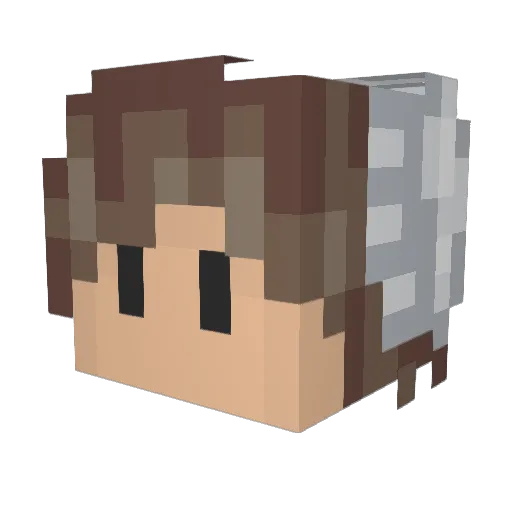 Seasoned_Brisket Minecraft avatar head, 3D render