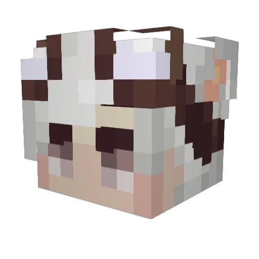 Seasons Minecraft avatar head, 3D render