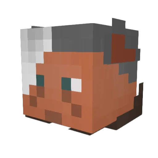 Seaswagger Minecraft avatar head, 3D render