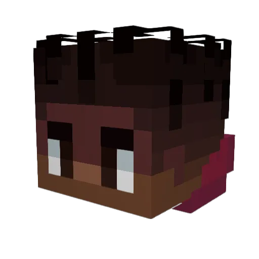 Seat499fearful Minecraft avatar head, 3D render