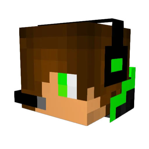 SeattleSeahawks8 Minecraft avatar head, 3D render