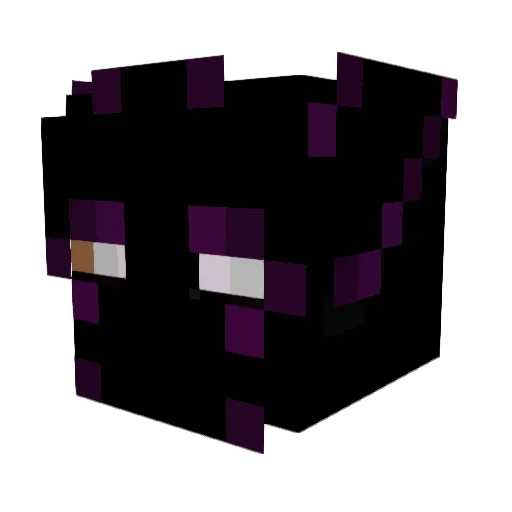 Seattlee_ Minecraft avatar head, 3D render