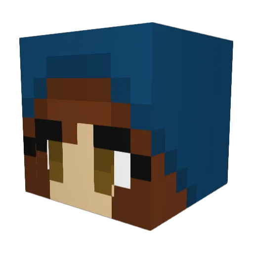 Seaturtle05 Minecraft avatar head, 3D render
