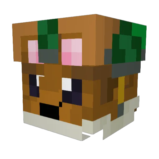 Seaweasel78 Minecraft avatar head, 3D render