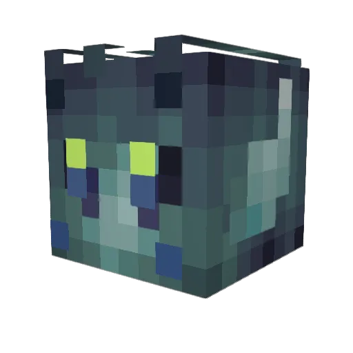 Seaweed6589 Minecraft avatar head, 3D render