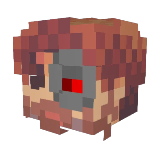SeaweedBrain818 Minecraft avatar head, 3D render
