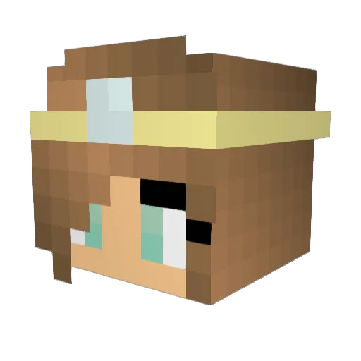 Seawing21 Minecraft avatar head, 3D render