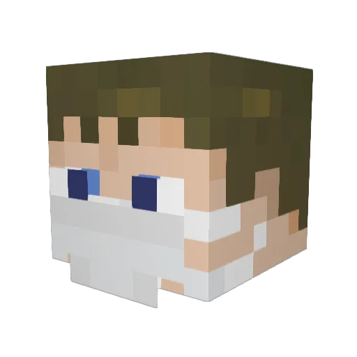 Seawing33 Minecraft avatar head, 3D render