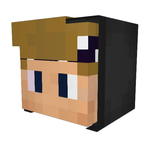 Seawn Minecraft avatar head, 3D render