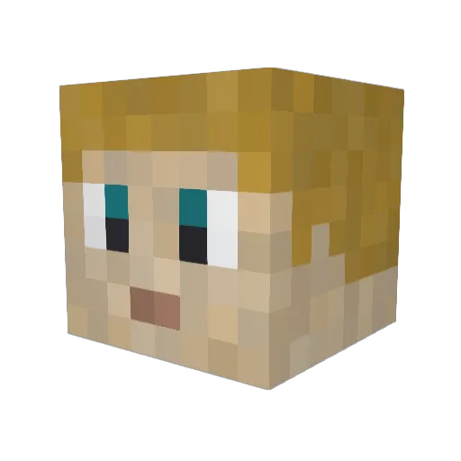 Seb23 Minecraft avatar head, 3D render