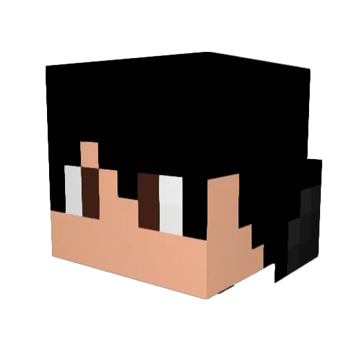 Seb2424 Minecraft avatar head, 3D render
