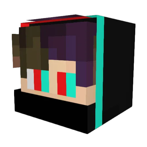 SebNite1906 Minecraft avatar head, 3D render