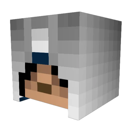 Seb_912 Minecraft avatar head, 3D render