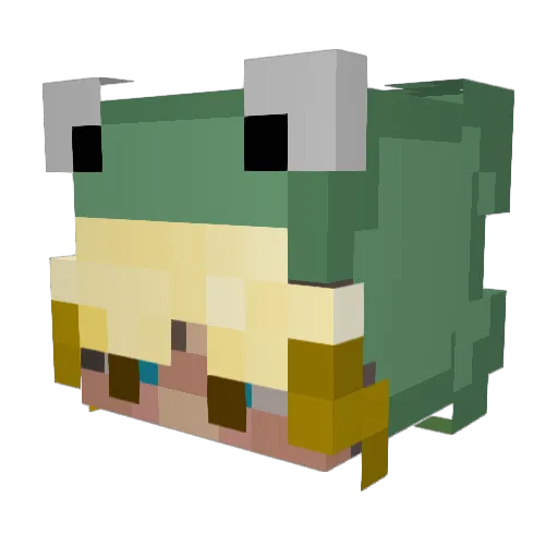 Seb_Ninja Minecraft avatar head, 3D render