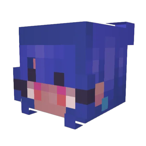 Seb_On_The_Web Minecraft avatar head, 3D render