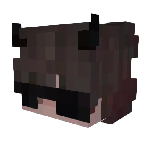 SebaGod_ST Minecraft avatar head, 3D render