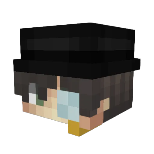 SebaPaLasBabys Minecraft avatar head, 3D render