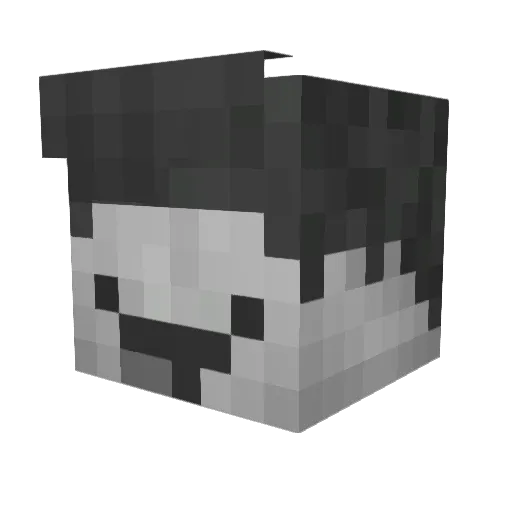 Sebaestix Minecraft avatar head, 3D render