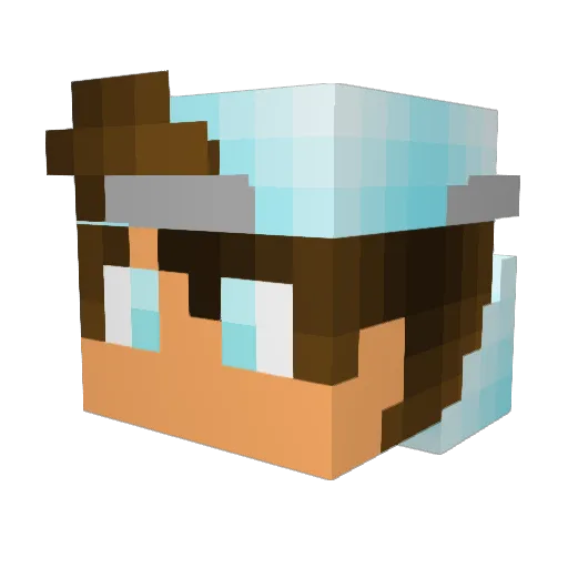Sebaldsbrueck Minecraft avatar head, 3D render