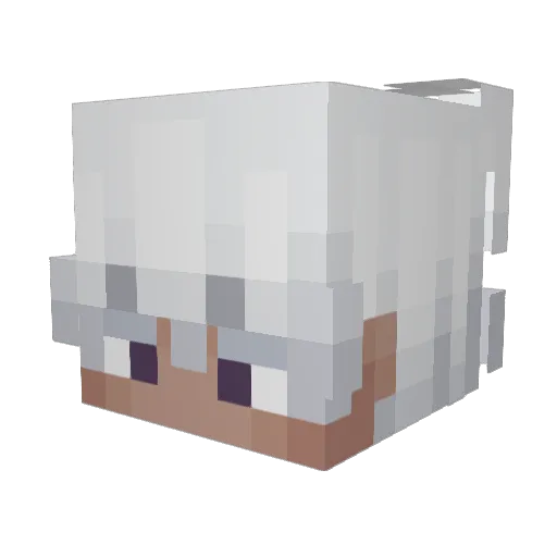 Sebardo177 Minecraft avatar head, 3D render